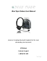 Blue Tiger BT Deluxe User Manual preview