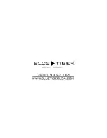 Предварительный просмотр 20 страницы Blue Tiger BT PRO User Manual