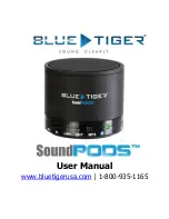 Предварительный просмотр 1 страницы Blue Tiger SoundPods User Manual