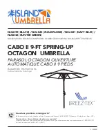 Blue Wave Island Umbrella Cabo II Assembly Instructions Manual preview