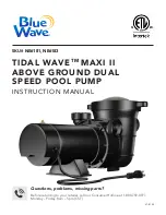 Blue Wave TIDAL WAVE MAXI II Instruction Manual preview