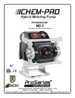 Blue-White PROSERIES-M CHEM-PRO MD-3 Operating And Maintenance Manual предпросмотр