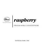 Preview for 1 page of Blue Raspberry User Manual