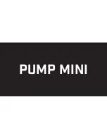 Blueant PUMP MINI User Manual preview