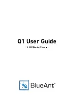 Preview for 1 page of Blueant Q1 User Manual