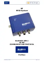 BlueBox IDTRONIC HF Communication Protocol Manual предпросмотр