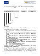 Предварительный просмотр 10 страницы BlueBox IDTRONIC HF Communication Protocol Manual