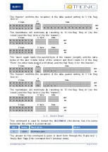 Предварительный просмотр 13 страницы BlueBox IDTRONIC HF Communication Protocol Manual