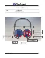 Preview for 6 page of BlueExpert BES102 User Manual