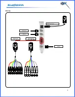 Preview for 23 page of Bluefish444 Mac OSX SD User Manual