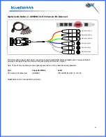 Предварительный просмотр 25 страницы Bluefish444 SD Fidelity User Manual