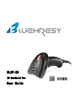 Bluehresy BLST-20 User Manual preview