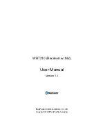 BluePacket WBT210 User Manual предпросмотр