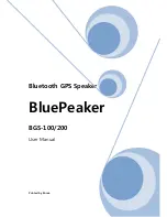 BluePeaker BGS-100 User Manual preview