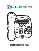 Bluesim A2DP Instruction Manual preview