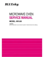 Bluesky M19.00 Service Manual предпросмотр