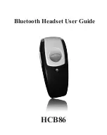 Bluesonic HCB86 User Manual предпросмотр