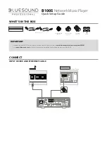 Bluesound Professional B100S Quick Setup Manual предпросмотр