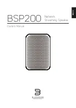 Bluesound Professional BSP200 Owner'S Manual предпросмотр