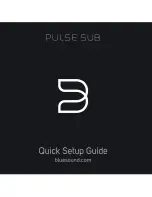 Bluesound PULSE SUB Quick Setup Manual preview