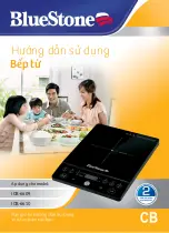 Bluestone ICB-6609 User Manual preview