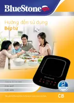 Bluestone ICB- 6617 User Manual preview