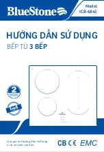 Bluestone ICB-6845 User Manual preview