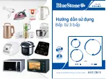 Bluestone ICB-6868 User Manual preview