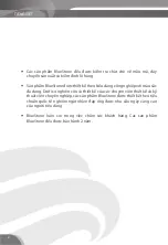 Preview for 2 page of Bluestone ICB-6917 User Manual