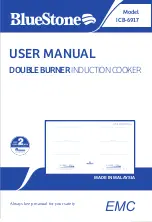 Preview for 15 page of Bluestone ICB-6917 User Manual