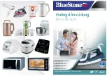 Bluestone SIB-3809 User Manual preview