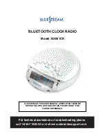 Preview for 1 page of Bluestream BS001CR User Manual