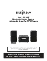 Bluestream BS029MS User Manual preview