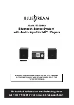 Bluestream BS030MS User Manual preview