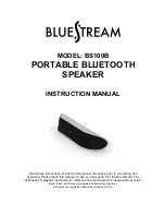 Preview for 1 page of Bluestream BS100B Instruction Manual