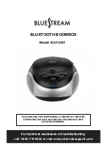 Bluestream BS118BT User Manual предпросмотр