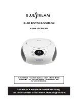 Bluestream BS2083BB User Manual preview