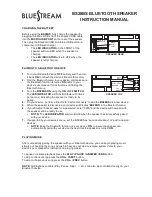 Bluestream BS28BS Instruction Manual предпросмотр