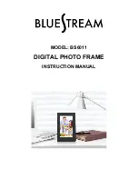 Bluestream BS6011 Instruction Manual preview