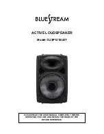 Bluestream DJSP1216LBT User Manual предпросмотр