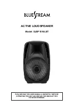 Bluestream DJSP1516LBT User Manual предпросмотр