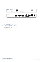 Bluestream SW21AB-V User Manual preview