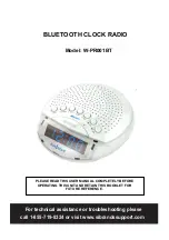 Bluestream W-PR001BT User Manual preview