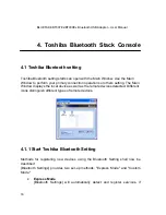 Предварительный просмотр 17 страницы Bluetake Technology BT007Ex User Manual