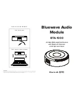 Bluewave BTA-1000 Install Manual preview