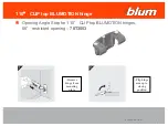 Предварительный просмотр 3 страницы BLUM 20F7011 Quick Reference Manual