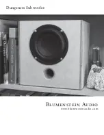 Blumenstein Audio Dungeness User Manual preview