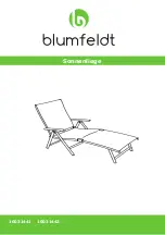 Предварительный просмотр 1 страницы Blumfeldt Style Manual