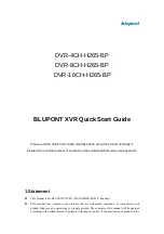 Blupont DVR-16CH-H265-BP Quick Start Manual предпросмотр