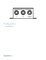 BluStream DAC12A U User Manual предпросмотр